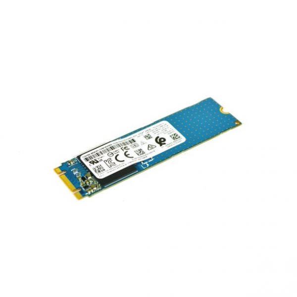 256 GB m.2 2280 NVMe SSD | Kioxia | BG3 L22028-002